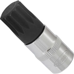 Vigor - Screwdriver socket for screws with internal serration (xzn) ∙ V6113 ∙ Attacco quadro, cavo, 3/8 di pollice (10 mm) ∙ Profilo poligonale