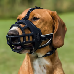 TRIXIE 17611 museruola per cani e gatti