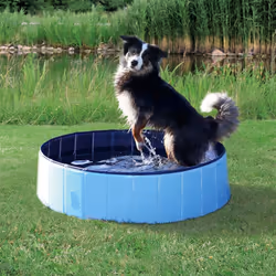 TRIXIE 39481, Piscina per animali domestici, Rotondo, Plastica, 800 mm, 800 mm, 200 mm
