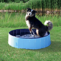 TRIXIE 39482 piscina per cani Piscina per animali domestici