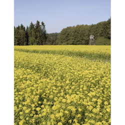 Eschenbach 4254832 non classificato - Vista aggiuntiva 6