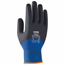 Uvex 6006108, Antracite, Blu, Grigio, Adulto, Adulto, Unisex, 1 pz, Elastan, Poliammide