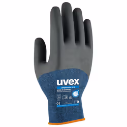 Uvex 6006206, Antracite, Blu, Grigio, Adulto, Adulto, Unisex, 1 pz, Elastan, Poliammide, Viscosa