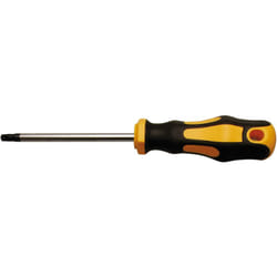 Bgs Technic - Cacciavite profilo a t (per Torx) T30 Lunghezza della lama 100 mm