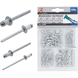 Bgs Technic - Assortimento rivetti a strappo ø 2,4 - 4,8 mm 100 pz.