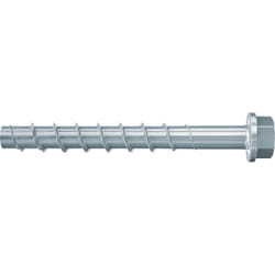 Fischer 558225 giravite e bullone 210 mm 20 pz Vite