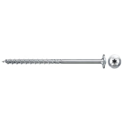 Fischer 561797 giravite e bullone 100 pz