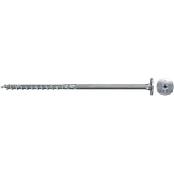 Fischer 566366 giravite e bullone 300 mm 50 pz Vite
