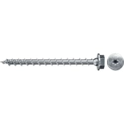 Fischer 566373 giravite e bullone 100 mm 50 pz Vite