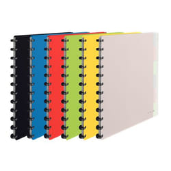 Esselte 624014 raccoglitore ad anelli A4 Colori assortiti