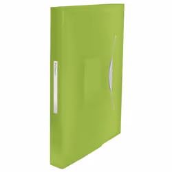 Esselte Vivida, 300 fogli, Verde, Polipropilene (PP), A4, 260 mm, 25 mm