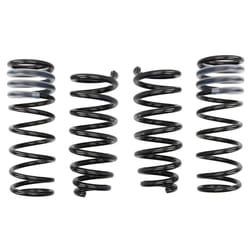 Molla del telaio EIBACH Pro-Kit E10-40-013-01-22