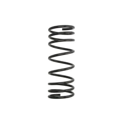 Molla del telaio EIBACH Pro-Kit F1004002