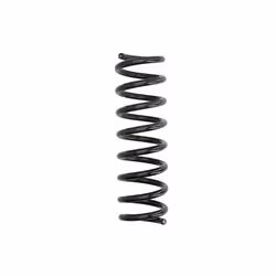 Diametro filo [mm]: 14,2. Forma molla: Molla elicoidale con diametro filo constante. Indice: R10287. Lato montaggio: Assale a ...