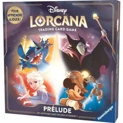 Ravensburger 11098401 gioco da tavolo