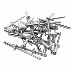 Questi resistenti rivetti in allumino ad alta resistenza in materiale pregiato per resistere a forti trazioni ed alle intempe ...
