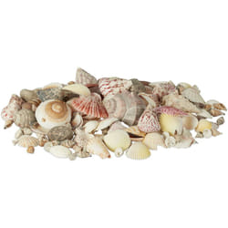 Set di Conchiglie Decorative, Mix Gusci Grandi Decorazione Marina per Bricolage 1 kg, per Bomboniere, Colorate - Relaxdays