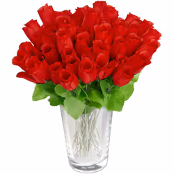 Non avete il “pollice verde” ma amate i fiori e soprattutto le rose rosse? Niente paura! Con questo mazzo di fiori potete fin ...