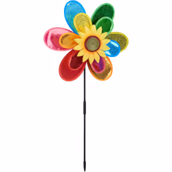 Volete ravvivare il vostro balcone o giardino con un dei colori brillanti? Le simpatiche girandole multicolore sono allora la ...