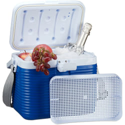 Frigo Portatile, con Manico, Borsa Termica in Plastica, Senza Elettricità, 8 l, 23,5 x 31 x 21 cm, bianco/blu - Relaxdays