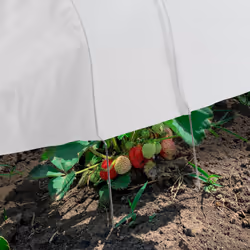 Relaxdays 10035999 geotessile - Vista aggiuntiva 5