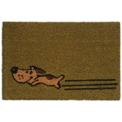 Relaxdays - Zerbino in Fibra di Cocco con Cane, Interni ed Esterni, l x p: 40x60 cm, Tappetino Antiscivolo, Verde