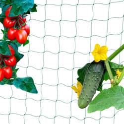 Relaxdays - Rete per Piante Rampicanti, 180x360 cm, Sostegno per Pomodori e Fagioli, Supporto Ortaggi, Maglia 10 cm, Verde