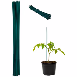 Con questi supporti per piante resistenti e stabili, realizzati in bambù, favorirai la crescita delle tue piante. Puoi inseri ...