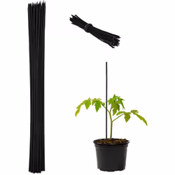 Con questi supporti per piante resistenti e stabili, realizzati in bambù, favorirai la crescita delle tue piante. Puoi inseri ...