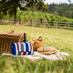 Relaxdays 10041290 coperta da picnic