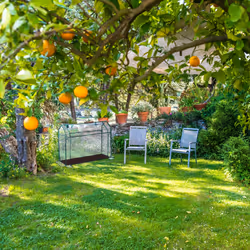 Relaxdays 10041452 serra residenziale - Vista aggiuntiva 5