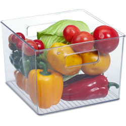 Relaxdays - Organizer da Frigorifero, Contenitore da Cucina, Box per Alimenti, hlp: 15,5x21x21 cm, con Manici, Trasparente