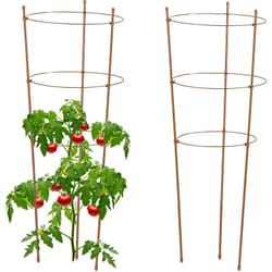 Relaxdays - Set da 2 Sostegni Circolari per Pomodori, Piante Rampicanti, Cetrioli, Alti 76 cm, 3 Anelli, Metallo, Marrone