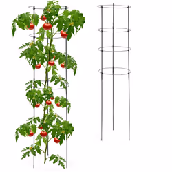Rendi florido il tuo giardino con l’aiuto di questi 2 supporti per piante rampicanti, affinché possano crescere forti e sane. ...