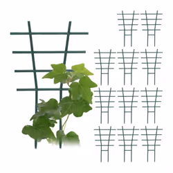 Il set di 12 supporti per rampicanti è perfetto per sostenere le tue piante rampicanti in vaso o da appartamento. Questi prat ...