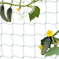 Relaxdays - Rete per Piante Rampicanti, 200x750 cm, Sostegno per Pomodori e Cetrioli, Supporto in pe, Maglie 10 cm, Verde