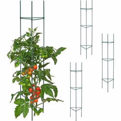 Dai sostegno e forma alle tue piante rampicanti in vaso con il set da 4 supporti per piccole piante ornamentali e non solo. I ...