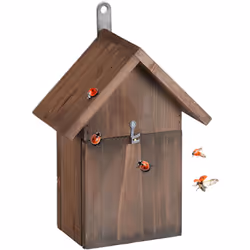Con il rifugio per coccinelle contribuisci attivamente alla protezione delle specie. La casetta in legno di abete non trattat ...