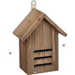 Relaxdays - Casetta per Coccinelle, Hotel per Insetti, in Legno di Abete non Trattato, da Appendere, 22x17x10 cm, Marrone