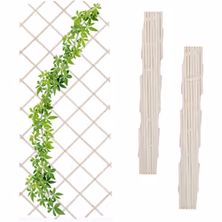Il set da 3 tralicci è un pratico accessorio da giardino. Coltiva rose rampicanti, clematidi, gelsomini, edere o viti sul tra ...