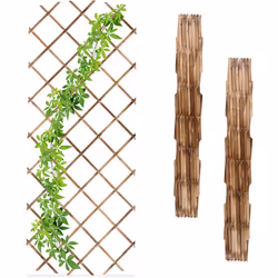 Il set da 3 tralicci è un pratico accessorio da giardino. Coltiva rose rampicanti, clematidi, gelsomini, edere o viti sul tra ...
