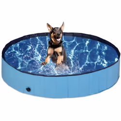 La piscina per cani offre al tuo amico a quattro zampe divertimento durante il bagnetto e anche un modo per rinfrescarsi nell ...