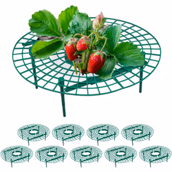 Questi anelli di sostegno per piante sono in particolare utili per il processo di maturazione delle fragole, assicurano condi ...