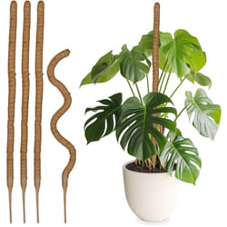 Relaxdays - Set da 5 Bastoncini in Fibre di Cocco, Canne Flessibili, Supporto per Piante Rampicanti, Alti 90 cm, Naturale