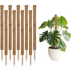 Relaxdays - Set da 10 Bastoncini in Fibre di Cocco, Canne Flessibili, Supporto per Piante Rampicanti, Alti 90 cm, Naturale