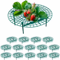Questi anelli di sostegno per piante sono in particolare utili per il processo di maturazione delle fragole, assicurano condi ...