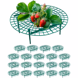 Questi anelli di sostegno per piante sono in particolare utili per il processo di maturazione delle fragole, assicurano condi ...
