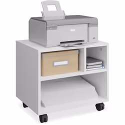 Porta ordine nella tua quotidianità in ufficio con questo armadietto. Con i suoi 3 scomparti offre sufficiente spazio per sis ...