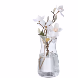 Vuoi mettere in mostra il tuo bouquet di fiori freschi con semplicità e raffinatezza? Allora questo semplice vaso è quello ch ...