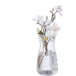 Relaxdays - Vaso in Vetro Decorativo, Vasetto per Fiori da Interno, HxD: 20x10,5 cm, Decorazione Centrotavola, Trasparente